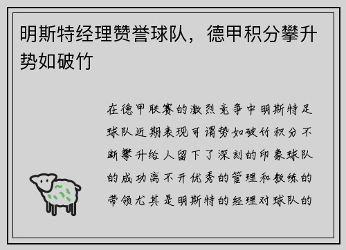 明斯特经理赞誉球队，德甲积分攀升势如破竹